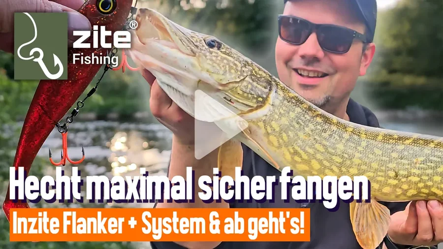 Hechtangeln mit System: So riggst du Gummifische richtig!