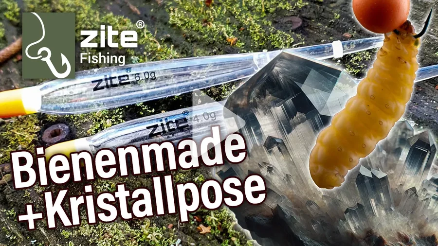Kleiner Forellenhack am Rande - Kristallpose PLUS Bienenmade ist dein Erfolgsbooster am Angelhof