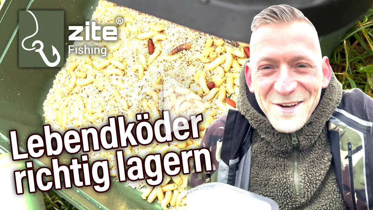 So bewahrst du von Bienenmaden bis zu Regenwürmern alles einfach und übersichtlich auf – zu Hause oder direkt am Angelplatz