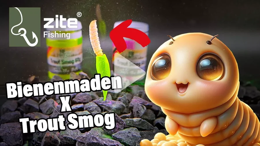 Mit Zite Fishing Trout Smog und Bienemaden die ultimative Forellenködermontage kreieren!