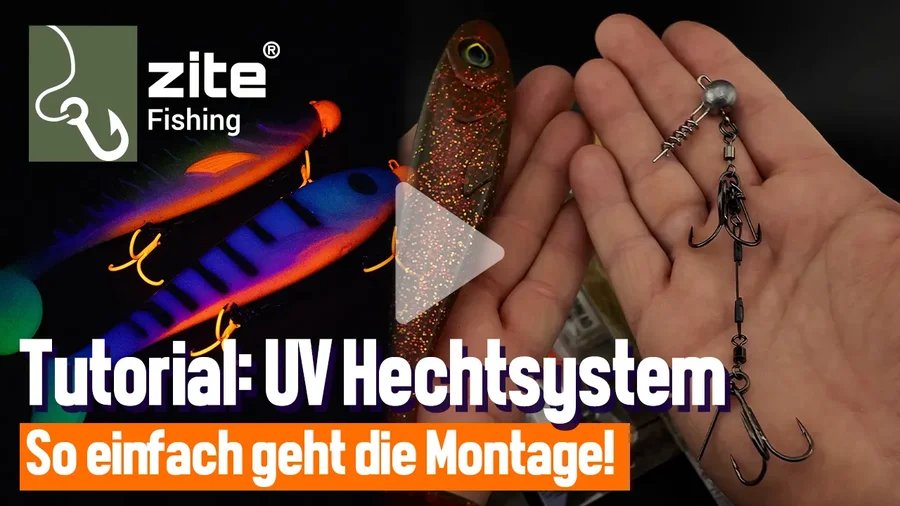 How to: Hechtgummis maximal fängig mit System riggen!