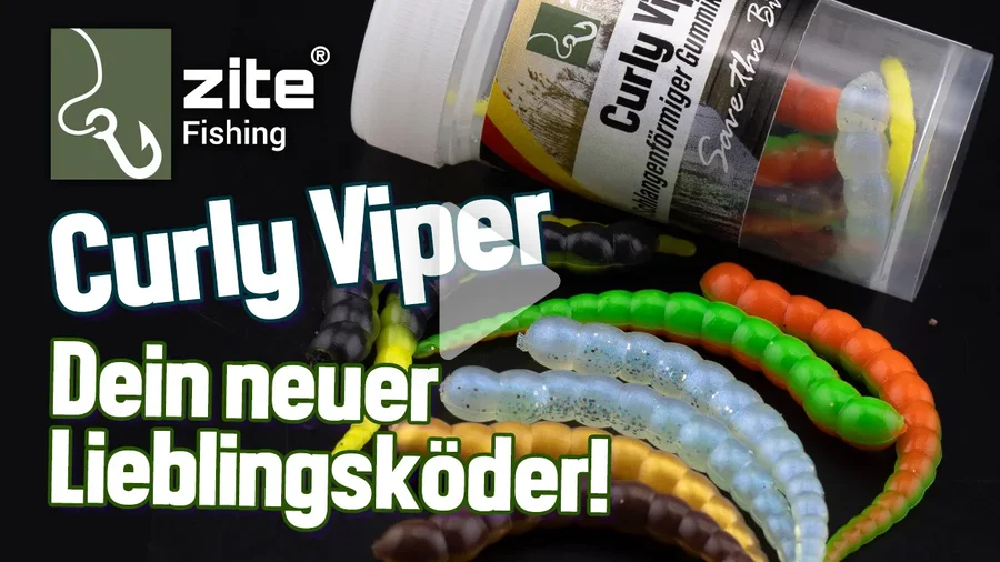 Curly Viper ist dein neuer bester Freund am Angelteich - Edin zeigt was dieser kleine Köder alles kann!