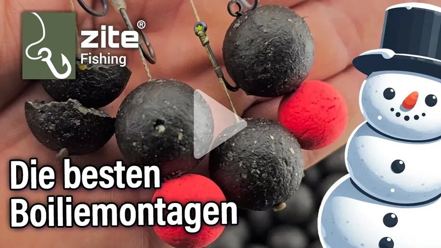 Das sind die TOP 4 Karpfenboilie Rigs die du auf jedenfall wissen solltest! 