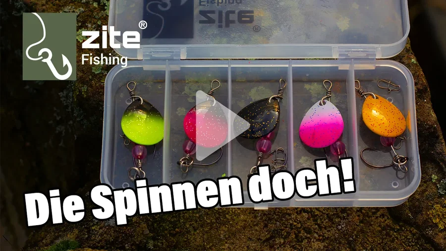 Krasse Action am Forellenteich - Wir zeigen dir die Zite Fishing Neon Spinner an der Montage