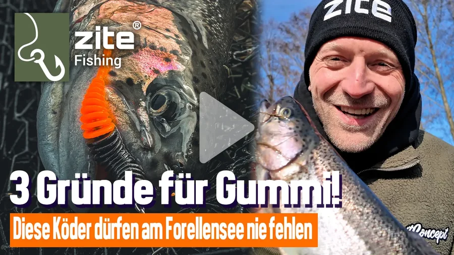 Diese Köder dürfen am Forellensee nie fehlen - Das sind die Gründe!