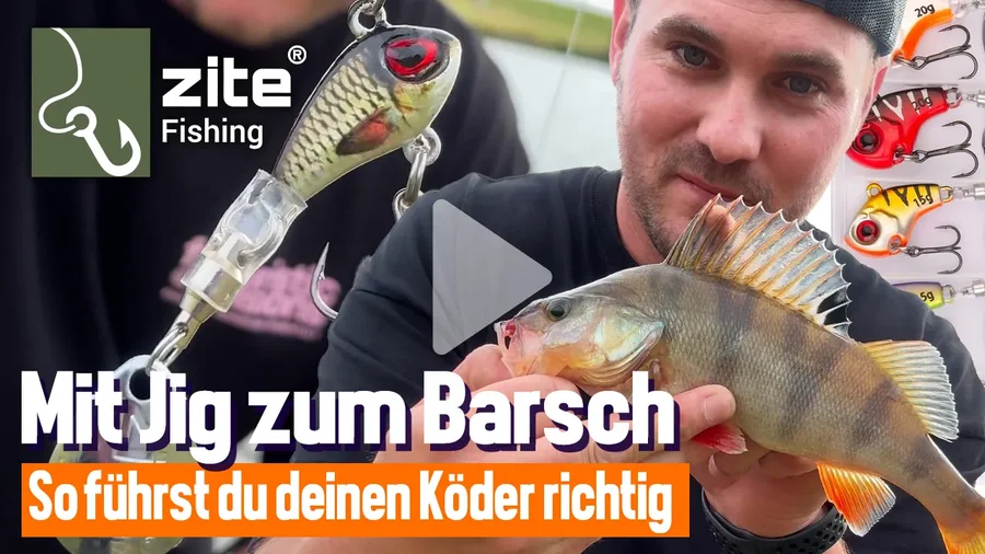 Mit Jigspinner zum Erfolg - SO fängst du Barsche