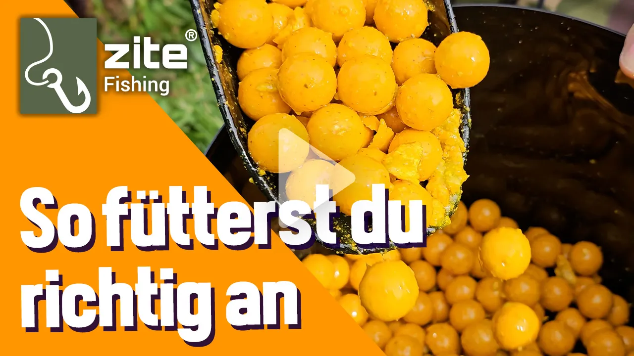 So fütterst du deine Angelplätze richtig an! - Edin zeigt euch die wie es geht