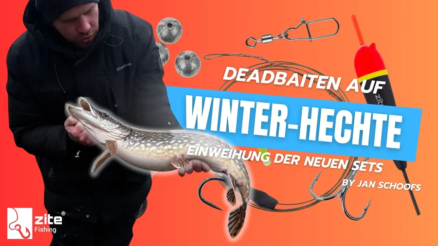 Deadbaiten auf Winter-Hechte: Jan weiht unsere neuen Boxen zum Köderfisch Angeln ein