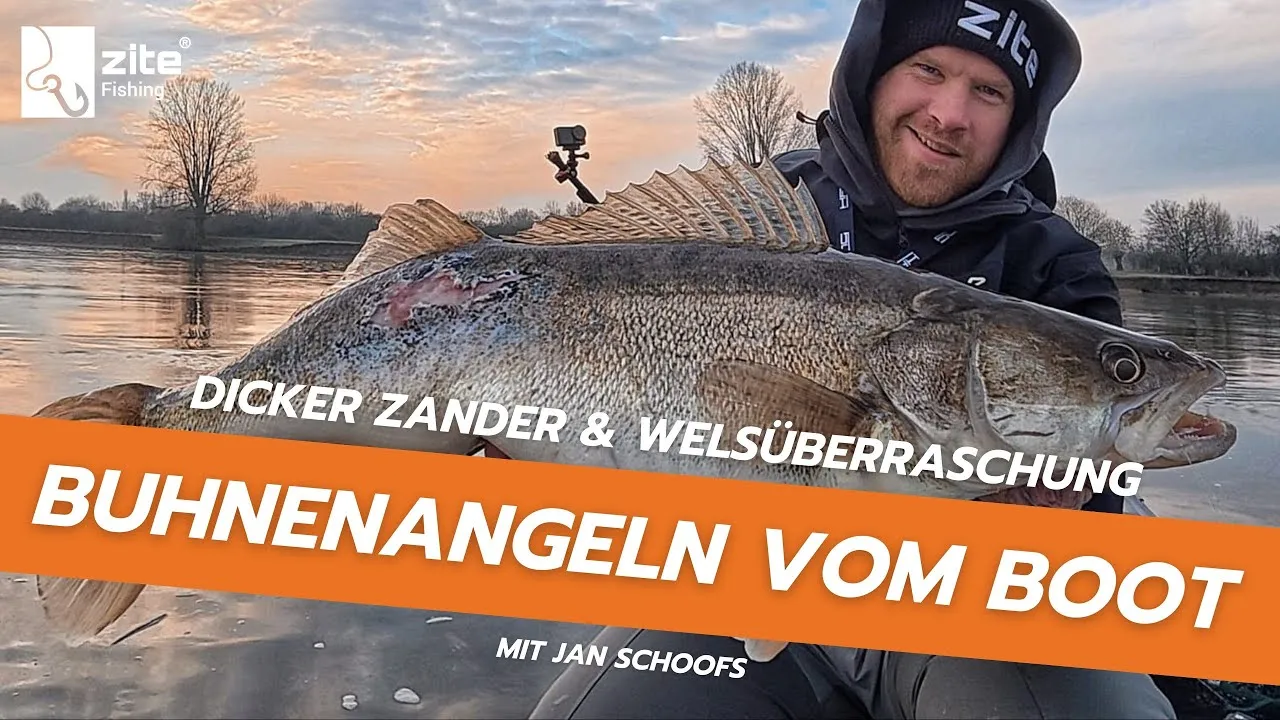 Buhnenangeln auf dicke Zander & Welsüberraschung: Tipps & Tricks für fangreiche Winter vom Profi!