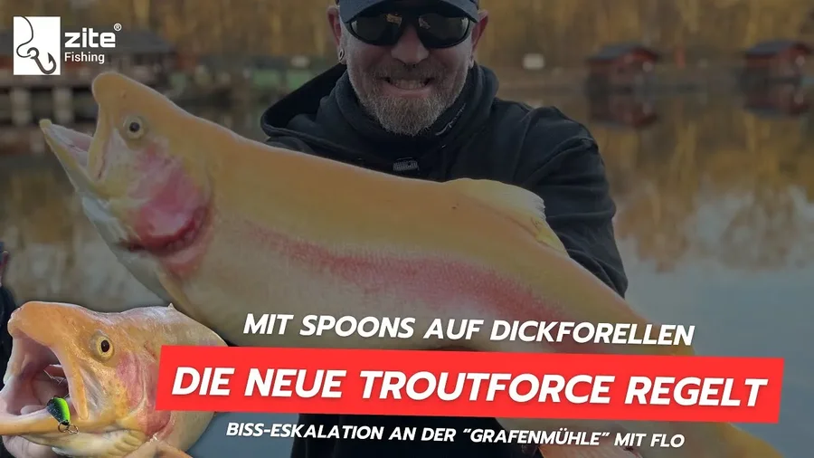 Dicke Winterforellen mit Trout Spoons fangen: Teamer Flo räumt mit der neuen Troutforce richtig ab!