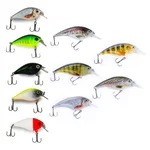 Crankbait Wobbler Set 10 Stück Zander Hecht Barsch Zite Fishing