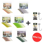 Gummifisch Starterset - Inzite Shad & Pershad je 3 Farben Gummiköder-Kombi für Zander & Barsch inkl. GRATIS Jighaken 