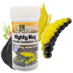 Mighty Mag Schwarz Gelb Knoblauch Aroma 2,8 cm Bienenmade 12 Stück