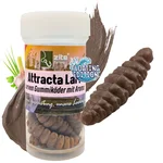 Attracta Larv Braun Knoblauch Aroma Floating Edition 3,5 cm 8 STK Larven Imitat Gummi