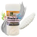 Attracta Larv Weiß Knoblauch Aroma Floating Edition 3,5 cm 8 STK Larven Imitat Gummi