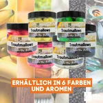 7904_auswahl6