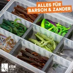 7919_auswahl1