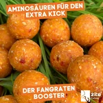 7995_auswahl3