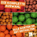 7995_auswahl4