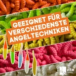8100_auswahl5