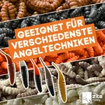 8102_auswahl5