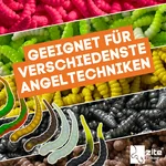 8144_auswahl5