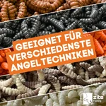 8165_auswahl5