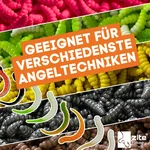 8220_auswahl5