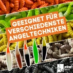 8230_auswahl5
