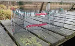 83070708_auswahl4