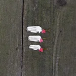 83070739_auswahl5