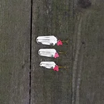 83070739_auswahl5