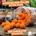 83074331_auswahl3