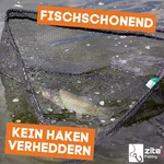 83075659_auswahl5