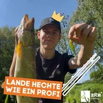 8545_auswahl7