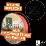 8560_auswahl5