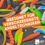 8572_auswahl6