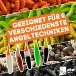 8749_auswahl4