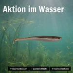 8911_auswahl3