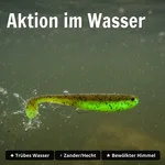 8913_auswahl3