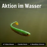 8914_auswahl3