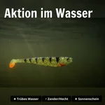 8915_auswahl3