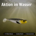 8916_auswahl3