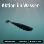 8918_auswahl3