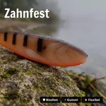 8923_auswahl4