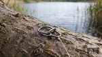 8946_auswahl5