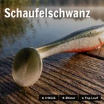 8951_auswahl4