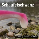 8954_auswahl3