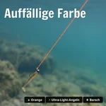 8998_auswahl4