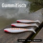 9089_auswahl4